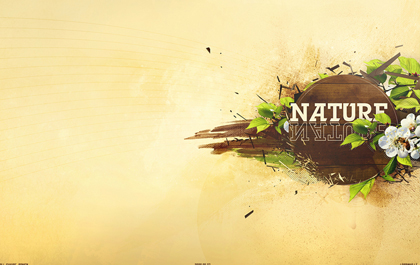 电话呼叫软件网页版